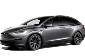 Model X Palladium